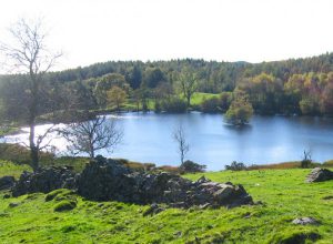 Beatrix Potter's Moss Eccles Tarn, Near Sawrey, England